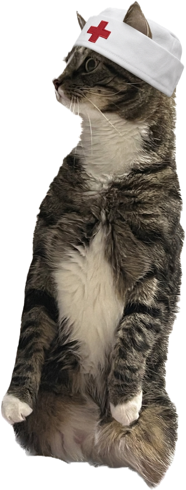 Медицинский регистратор