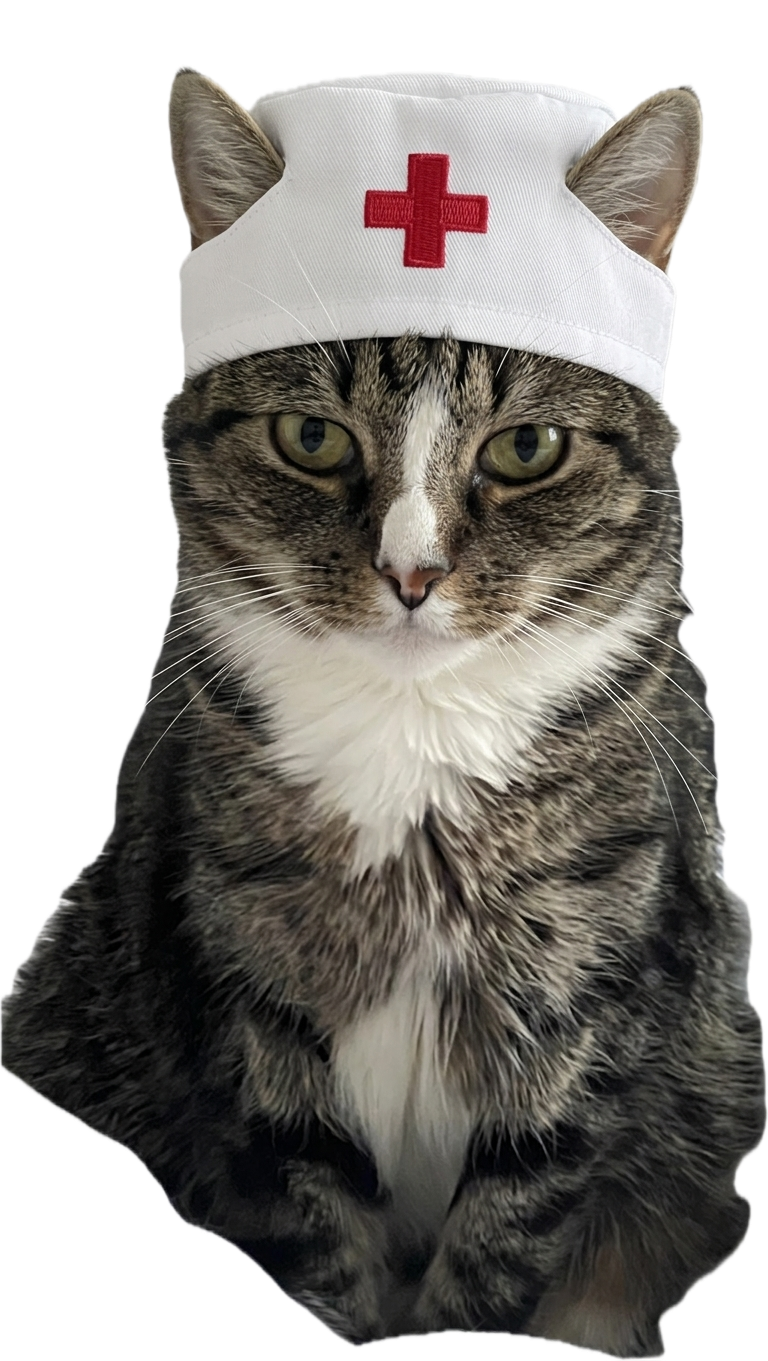 Главный врач спокойный